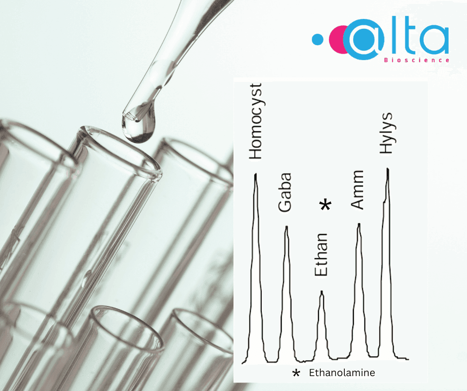 Ethanolamine Analysis for Cell Culture Optimisation in Cultured Meat 