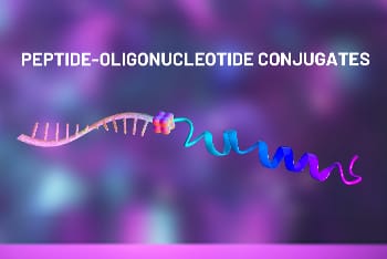 DNA Peptide Conjugates